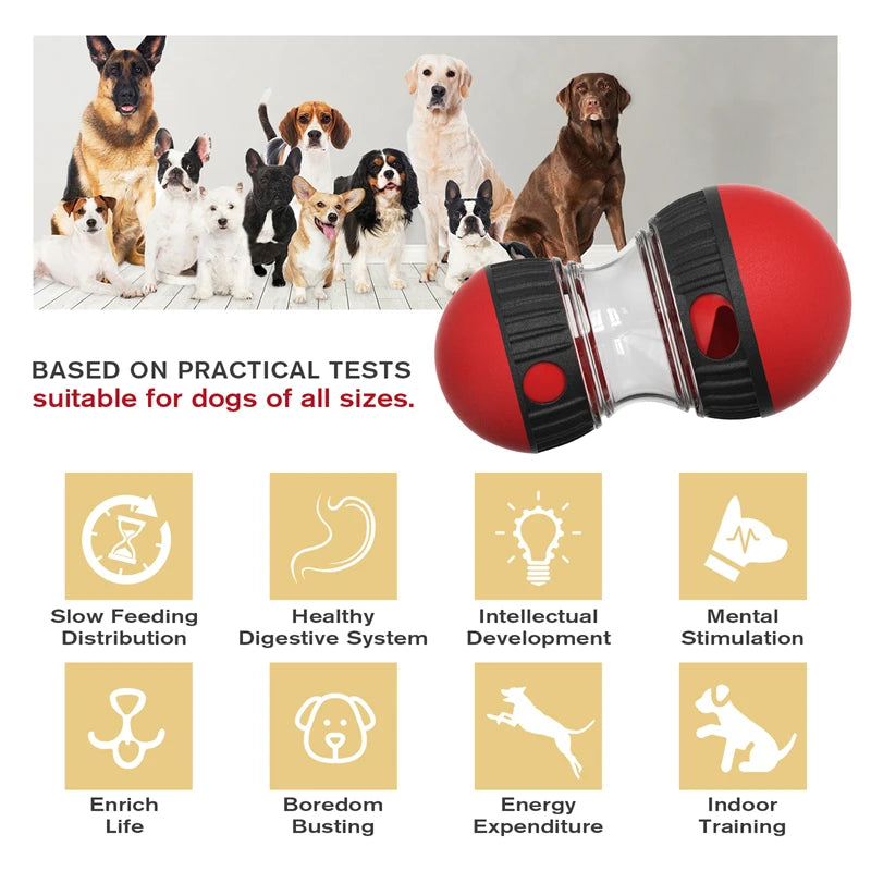 Intelligence Elliptical Track Rolling Ball Toys - Goofballs | Your Pet's Favorite Store