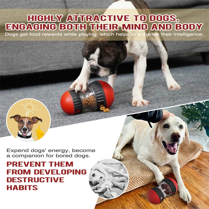 Intelligence Elliptical Track Rolling Ball Toys - Goofballs | Your Pet's Favorite Store