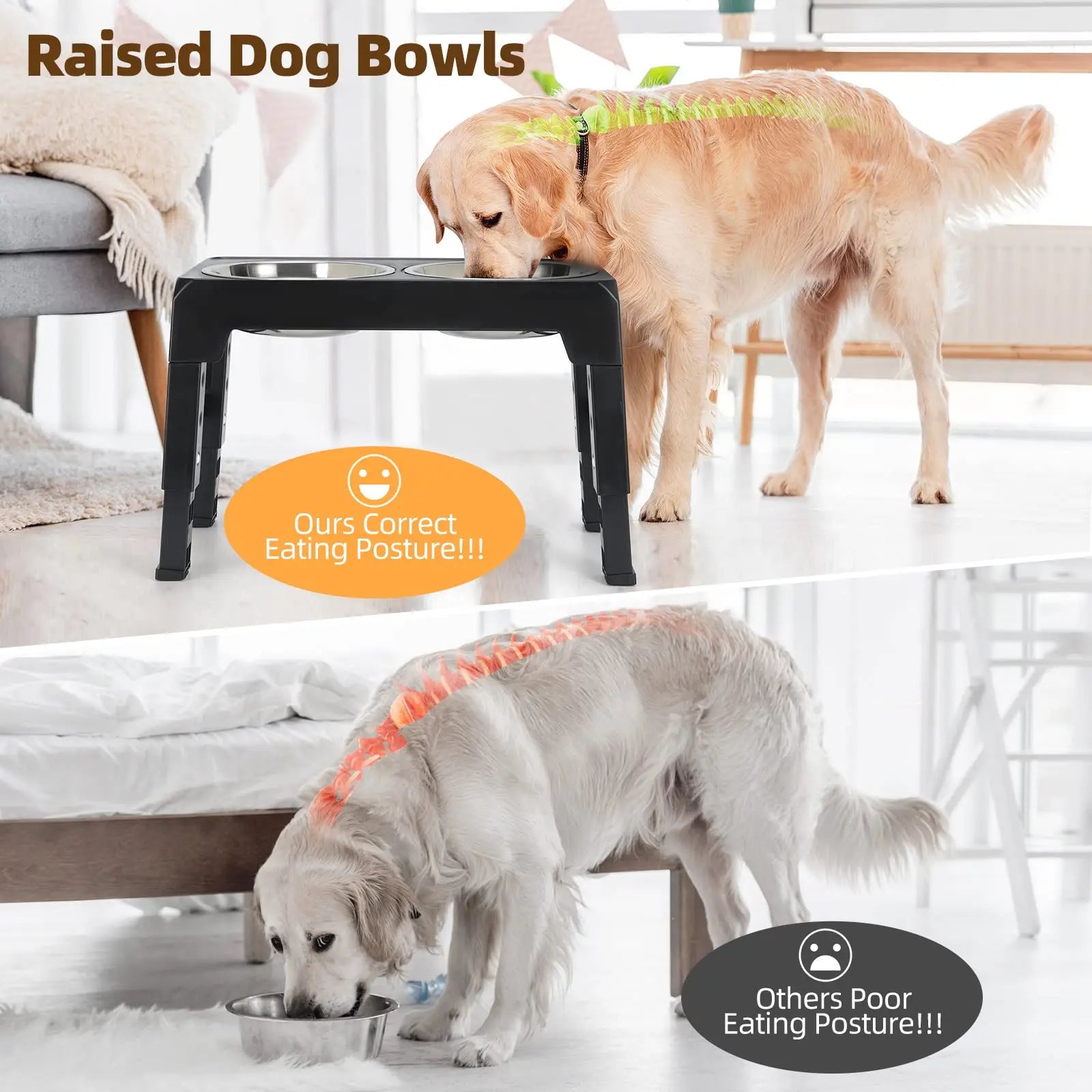 Adjustable Elevated Dog Feeder Bowl - Goofballs | Your Pet's Favorite Store